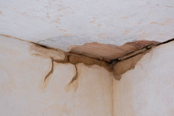 Best Professional water damage repair  in Akron, CO