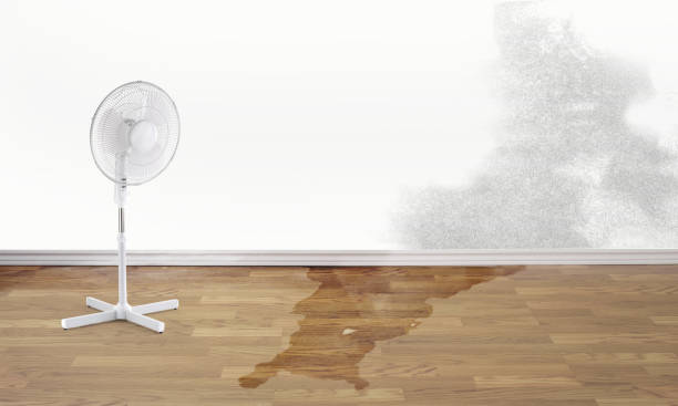Best Carpet water damage restoration  in Akron, CO